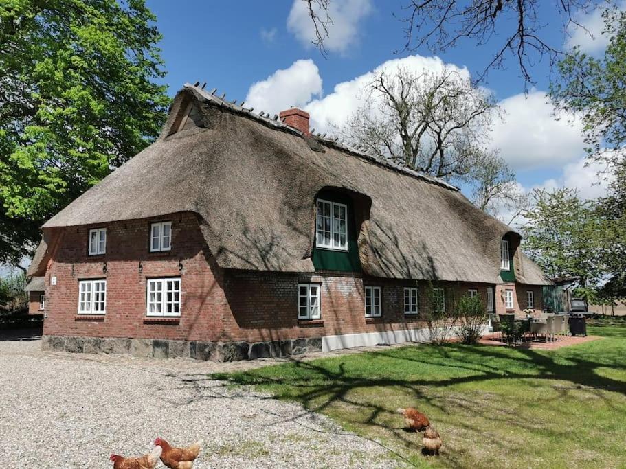 Appartement Hof Osterfeld à Mittelangeln Extérieur photo