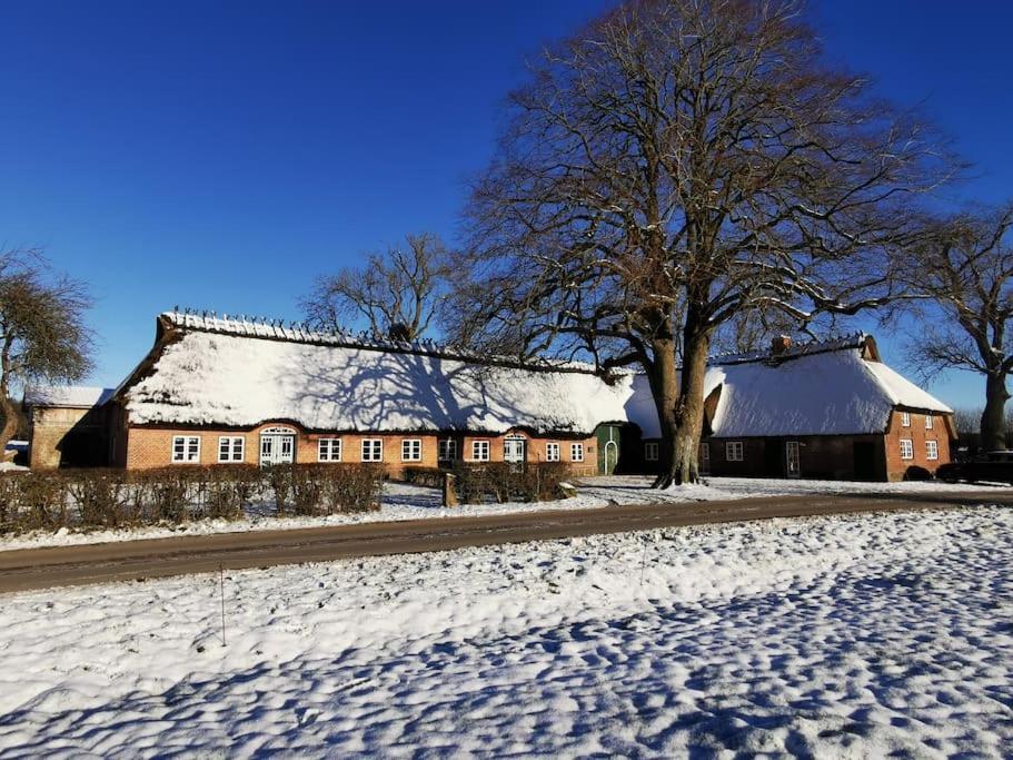 Appartement Hof Osterfeld à Mittelangeln Extérieur photo